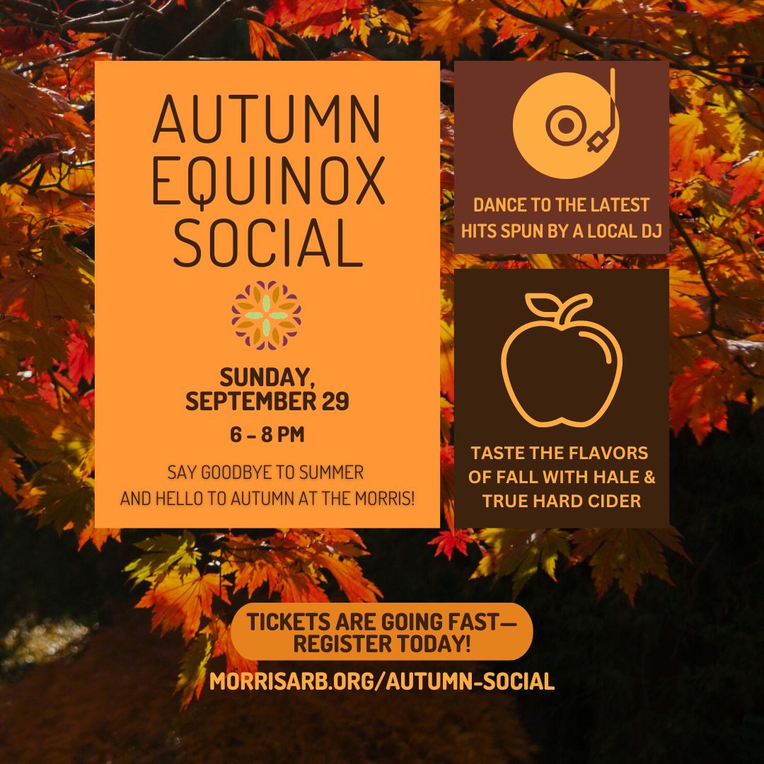 autumn equinox social