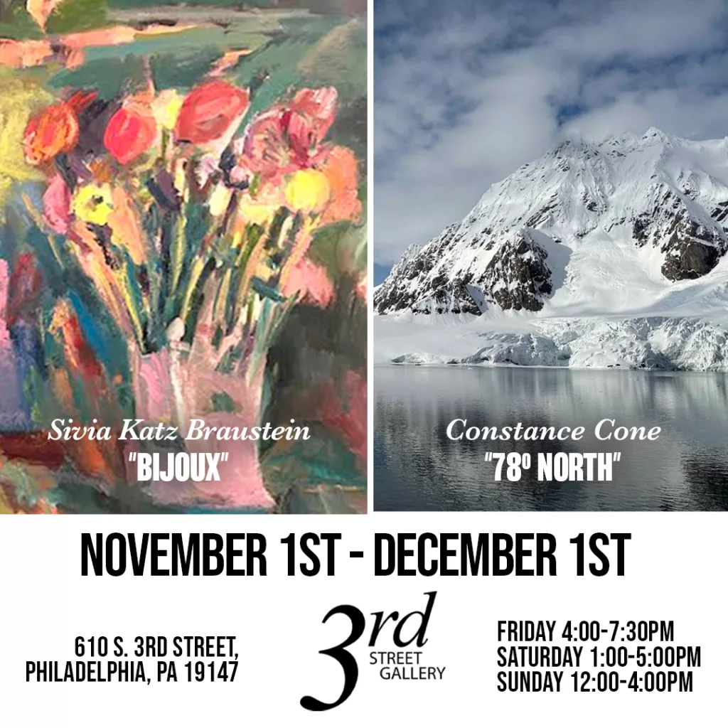 Artist Talks at 3rd Street Gallery